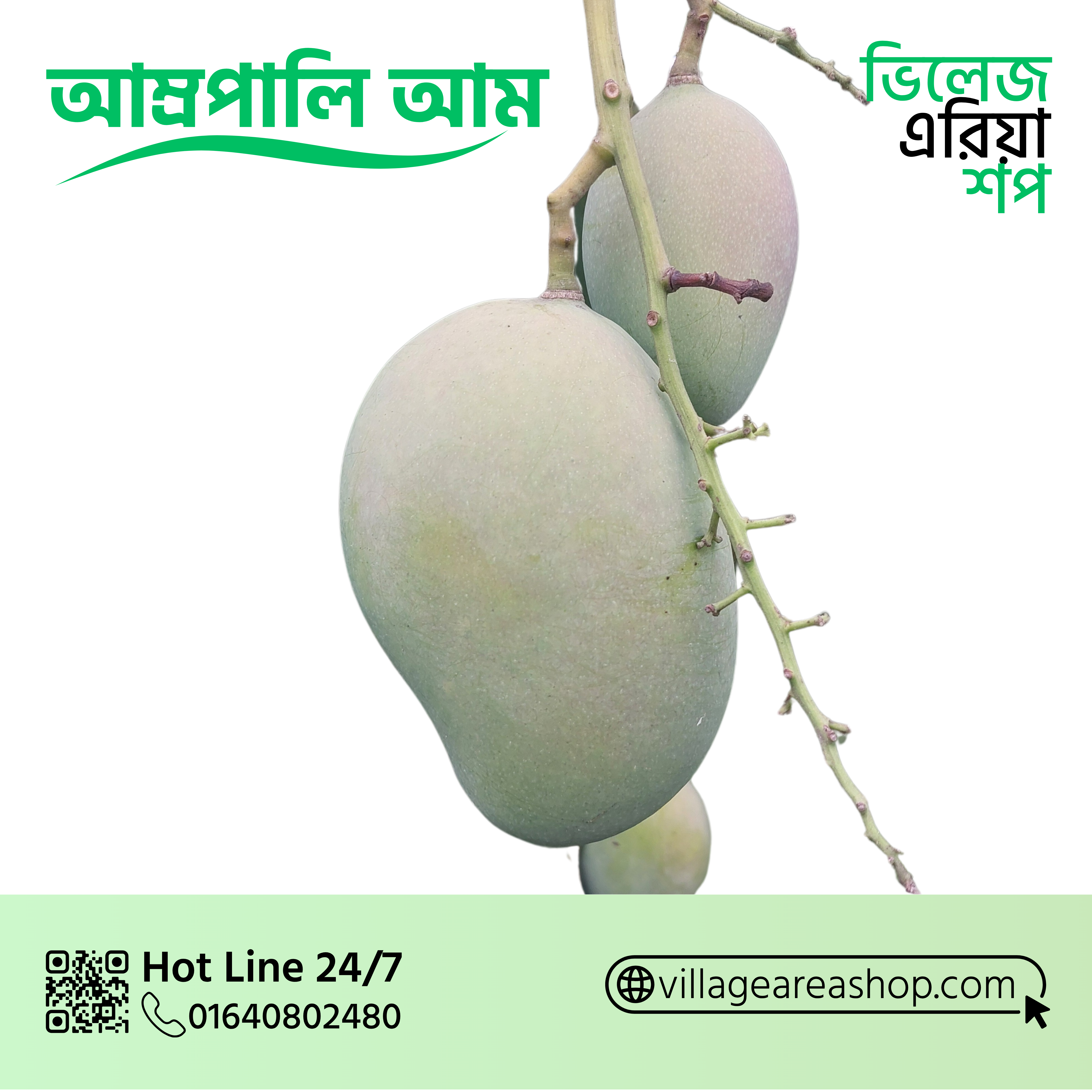 24kg আম্রপালি আম - Amrupali Mango